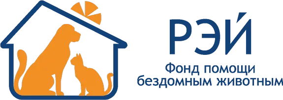 РЭЙ